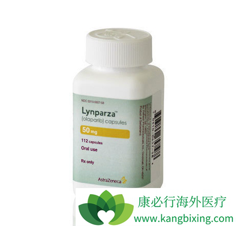 PARP抑制剂 PARP抑制剂