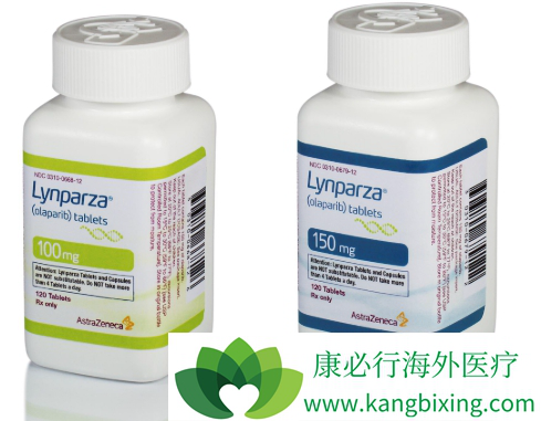 卵巢癌治疗 卵巢癌治疗