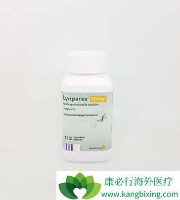 PARP抑制剂 PARP抑制剂