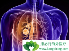 PD-1���Ƽ���EGFR-TKIԭ����ҩ��PD-L1�߱���Ļ��߿�������