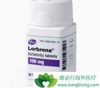 ALK���Ƽ��������ᣨLorlatinib������һ��ALK���Ƽ�