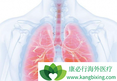 ����������������ΪPD-L1���50%�ķ�Сϸ���ΰ����ߴ����������