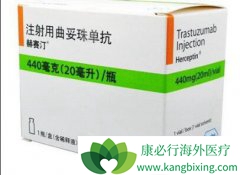 ���ڹ��������鵥��(trastuzumab)���������඾�ԵĿ����Խ���