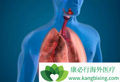 Сϸ���ΰ��ɴ������Ʒ����ϻ����л�ó�������Ч��