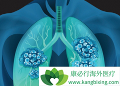 �����������Ͼֲ����ƿɼ��ٷ�Сϸ���ΰ������·���ת�Ʋ���