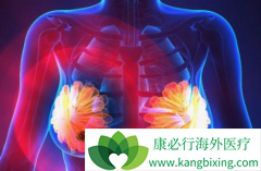 ���ٰ��ڷ������Ƶ���Ч���ܻ��߼����������ˮƽӰ����