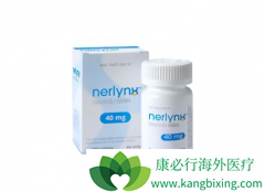 �������������HER2����HER3ͻ��ĸ���ʵ����