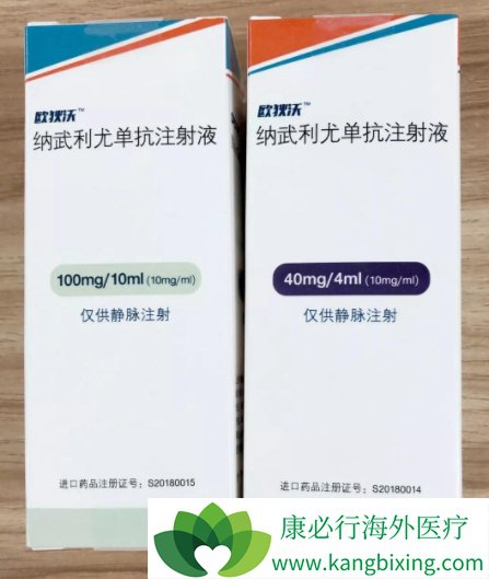 纳武利尤单抗注射液 纳武利尤单抗注射液