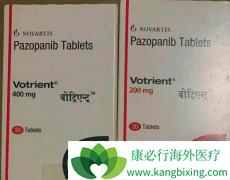 ��������(VOTRIENT)��ȫ��Ҫ������������/��̹