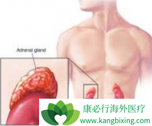 ����������ٵ�������Ƥ�ʰ����߿��Ե�ҩ��������̹��