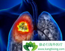 �ΰ���ҩ��������(lorlatinib)���ٴ�Ч���Ͱ�ȫ��