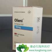 ��������(Olaparib)�����ڼ���ܻ�����Щ������Ӧ���֣�