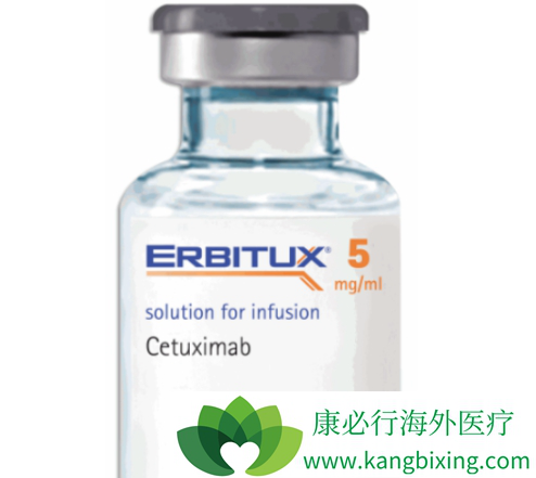西妥昔单抗 西妥昔单抗