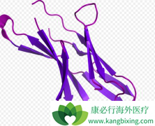 PD-1���Ƽ����Ͽ�Ѫ�����ɰ���ҩ�����ٴ�����ʾ���˻�������Ч