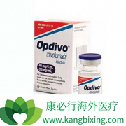 ���䵥��(Opdivo)�Բ�ͬ�����͵ķ�Сϸ���ΰ�����Ч�����?