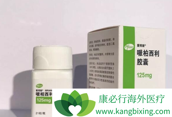 哌柏西利 哌柏西利