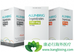 ��������(Brigatinib)�Ա���������ALK���Ƽ���������