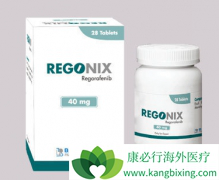 ������(Regonix)�����ǻ��ߵļ����������ܴﵽ���٣�