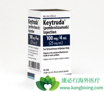 PD-1���Ƽ�Keytruda�����ַ��������Ʒ�Сϸ���ΰ���Ч��