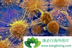 ����Keytruda�ΰ�������ҩ�ﻹ����Щ��