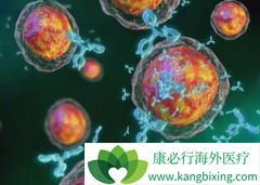 elotuzumab���ƶ෢�Թ�����ʱ����ô�ã�