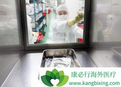 CAR-Tϸ���Ʒ����ƹ����г����Ķ�����������Щ��