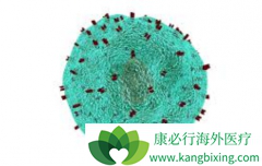 ��PD-1Ϊ���������߼������Ƽ����ϻ�����Ŀǰ������������Ʋ���