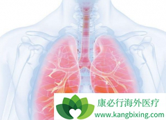 �����������Ī«�����ڷ�Сϸ���ΰ���������ʲô���ã�