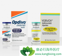 CTLA-4���Ƽ�Yervoy����PD-1���Ƽ�Opdivo������Ч��