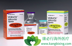 ��ô�ڹ��ڹ���CTLA-4���Ƽ�Ipilimumab��Yervoy��