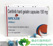 �ڷ�ɫ������(SPEXIB)���Ʒΰ��İ�ȫ�Ը���