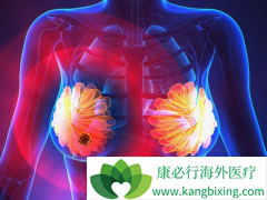 PD-1���������Ʒ����������ٰ���������Ӧ����