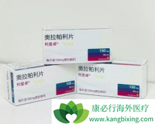 PARP���Ƽ����������ѳ������ߵ�����Ч��