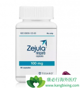 ������������(Zejula)�ķ��ü�����Ӱ������Ч����