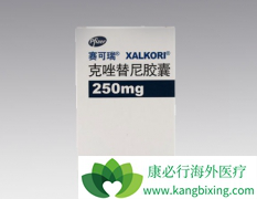 �ΰ�����ҩ��������(crizotinib)���ü����Ч��