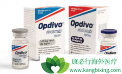 ����ҩ��Nivolumab����Ipilimumab����θ��Ч����ô����