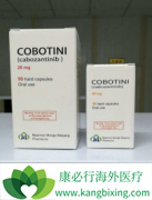 ��������(XL184)�ķ��������ƿ�������PD-1����