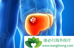 PD-1���Ƽ������ڸΰ���������û����Ч��