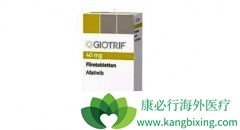 �ΰ����߷��ð�������(Afatinib)�������������м���������