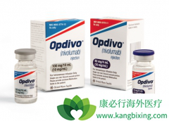 PD-1���Ƽ�Opdivo������ƥľ�������ƶ��ְ�֢��Ч����Σ�