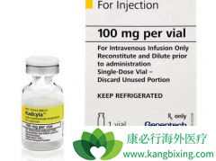 T-DM1���������鵥�������Ϸ���������ɼ����������