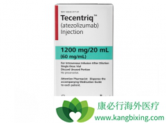 PD-L1���Ƽ�Atezolizumab�ս���Сϸ���ΰ�����ʮ���ҩ������