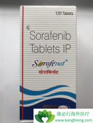 ��������(Sorafenib)�ΰ�����ʧ�ܺ�ɽ�����������Ϊ��ѡ��