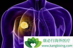 Atezolizumab��Сϸ���ΰ����߸������ҩ��