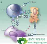 ����������PD1�������ÿ����ศ��ɵ�����