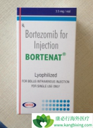 ����������(BORTENT)Ϊ���������Ʒ����ɸ�����ϸ���ܰ�����Ԥ��