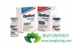 �������ȵ���ע��Һ(Nivolumab)��ָ���Ƽ������ڷΰ����ߵĶ�����ҩ