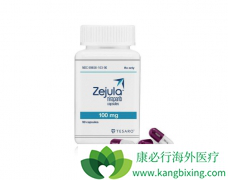 �ٶ�ҽҩ�������ᣨNiraparib�����������