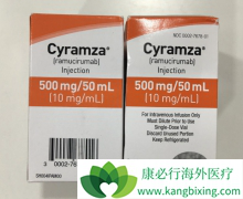 ���ڽ�ֱ�������߶��������ܻ�����Ī«����(Cyramza)��