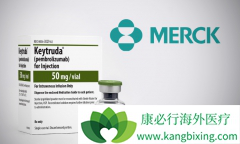 PD-1���Ƽ���Keytruda�������������ڻ�ת����ʳ�ܰ�������Ч